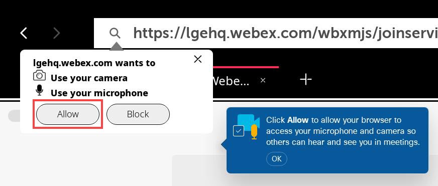 A screenshot of allowing device access